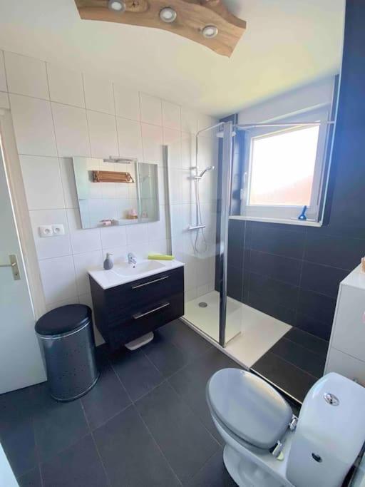 Logement Ideal Pour Un Sejour Alsacien En Amoureux Colmar Dış mekan fotoğraf
