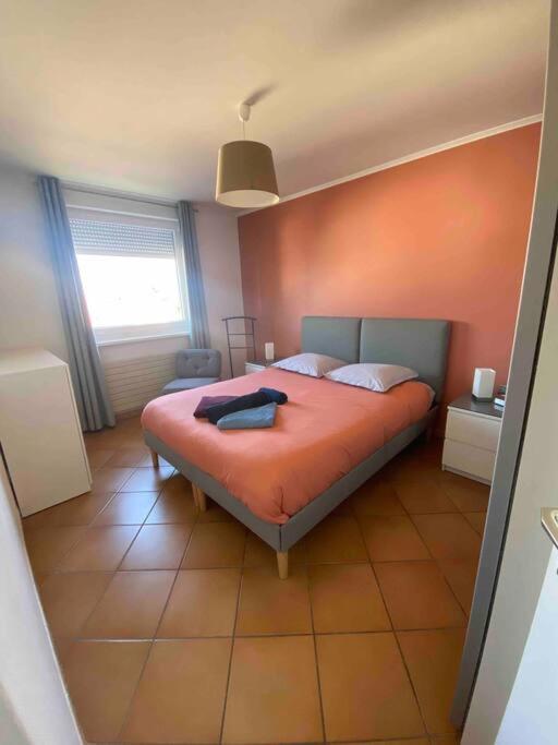 Logement Ideal Pour Un Sejour Alsacien En Amoureux Colmar Dış mekan fotoğraf