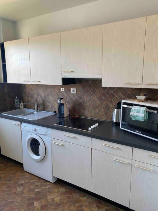 Logement Ideal Pour Un Sejour Alsacien En Amoureux Colmar Dış mekan fotoğraf